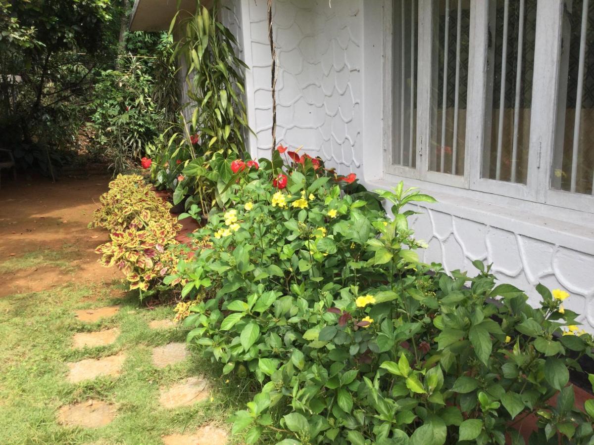 Ella Relax Inn Exterior photo